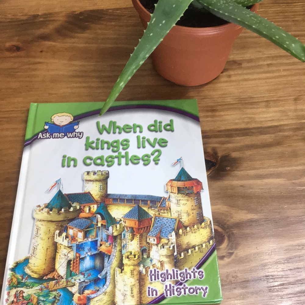 Ask my why history book